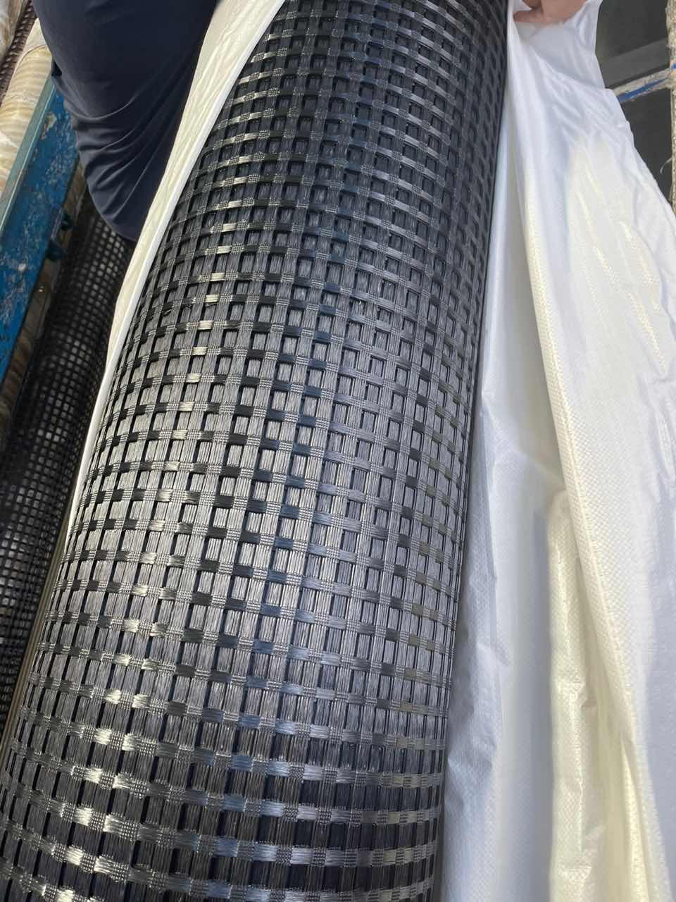 Detail PET Geogrid